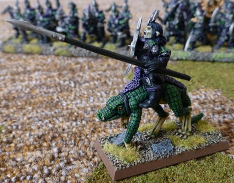 Left side view of a Dark Elf rider on Cold One with shield and lance