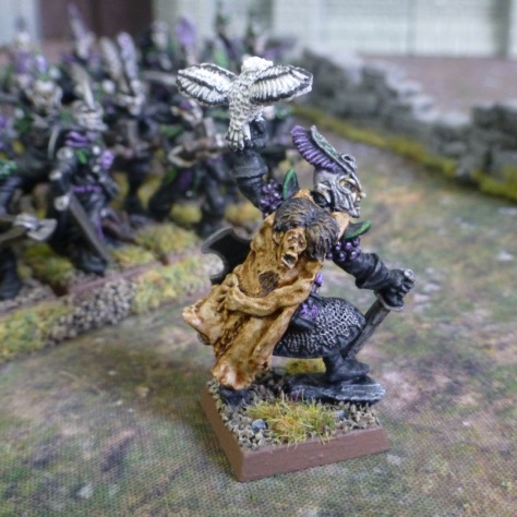 Side view of a Dark Elf lord wearing a skin cape and carrying an owl